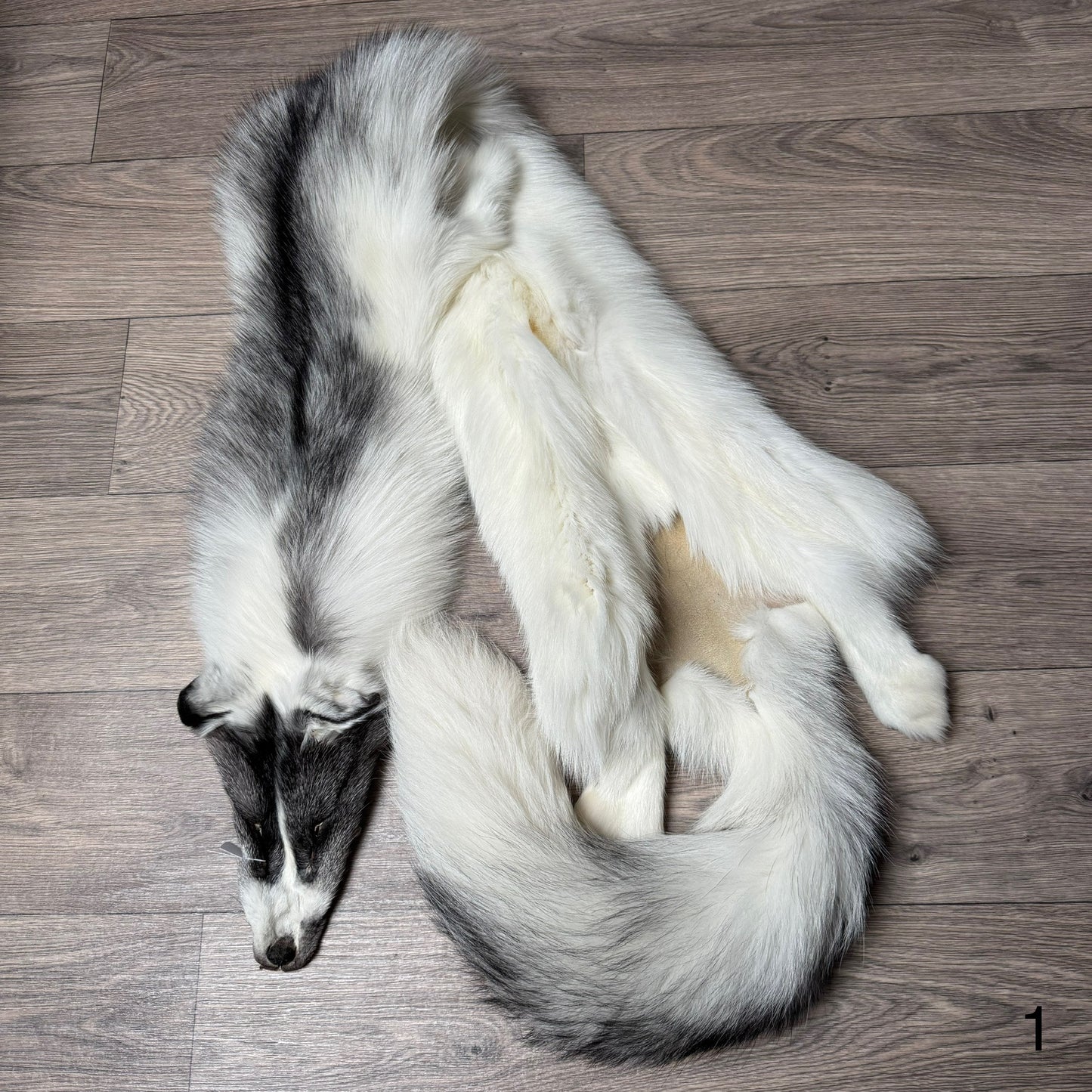Marble Frost fox pelt (1) (extremely large pelt)