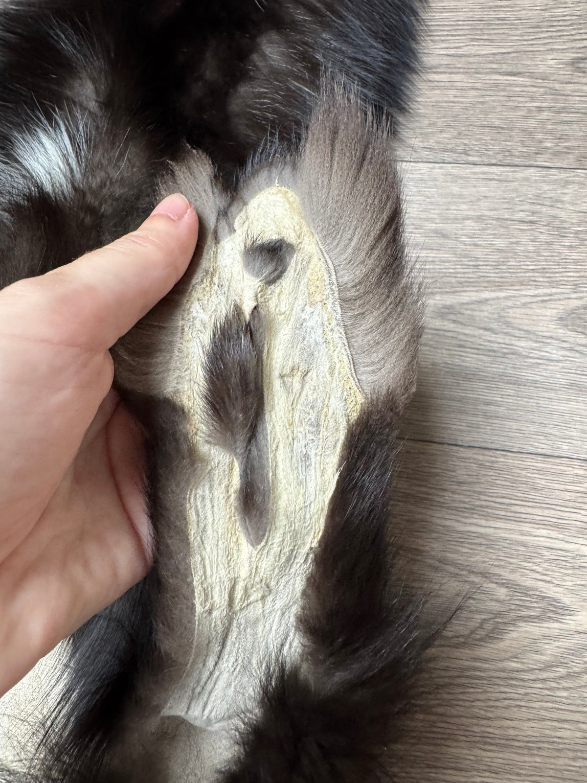 Silver fox pelt (3)