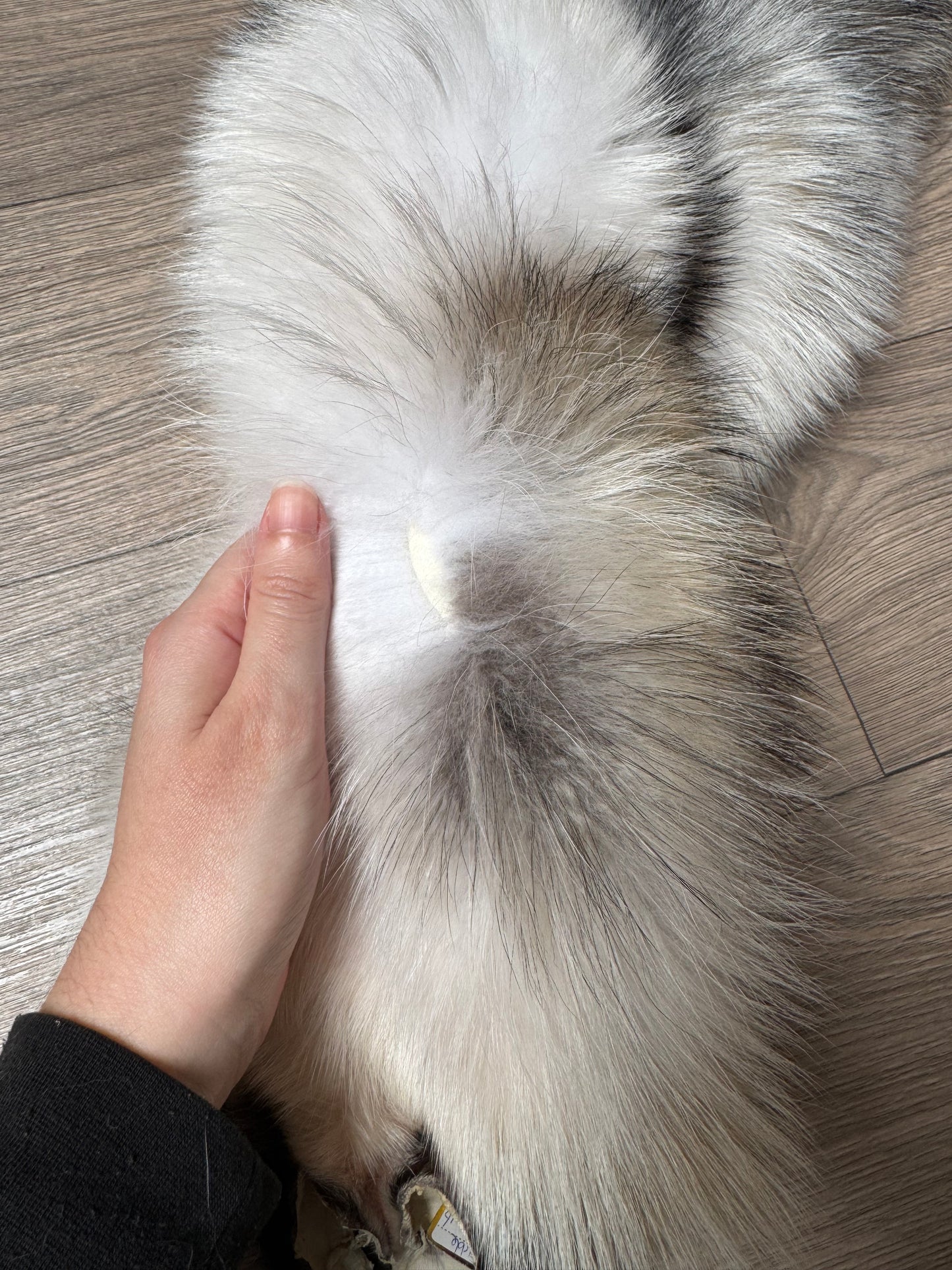 Marble tanuki pelt (16)