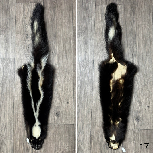 Skunk pelt (17)