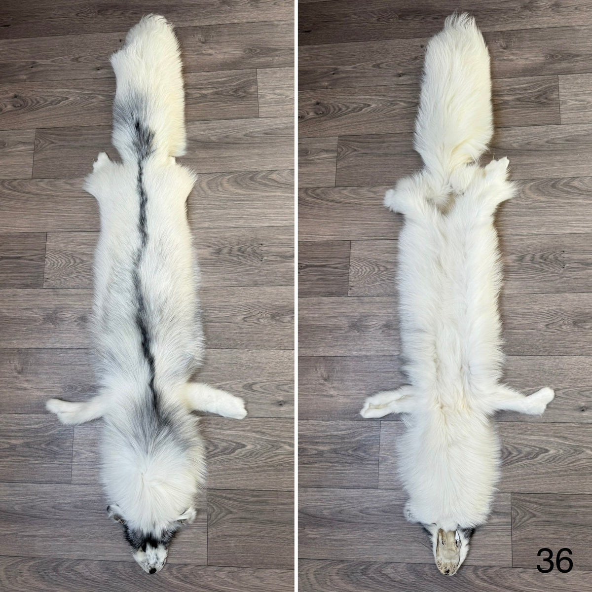 Arctic Marble fox pelt (36)