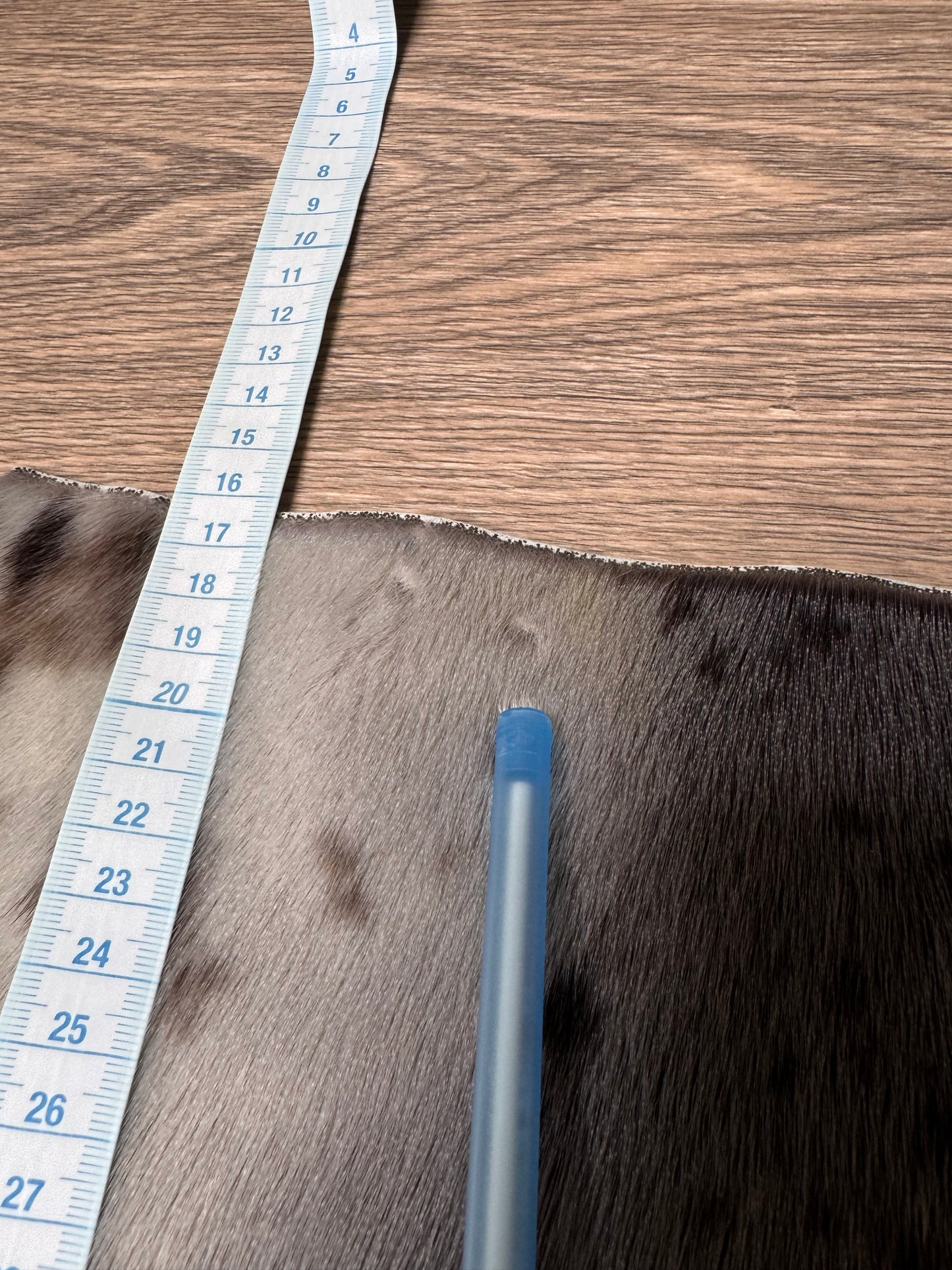 Harp seal skin (3)