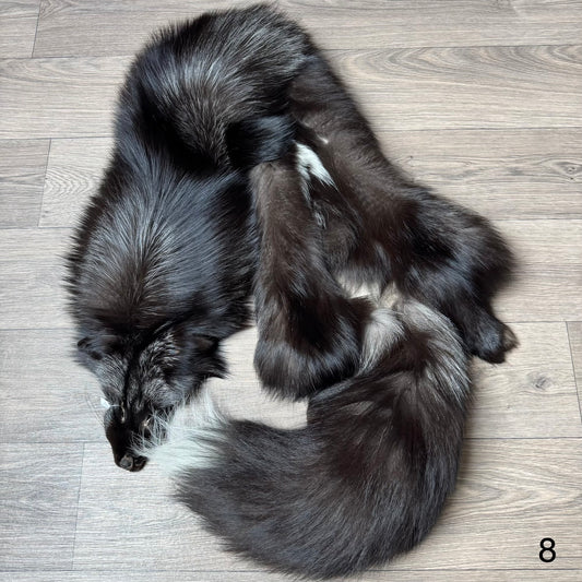 Silver fox pelt (8)