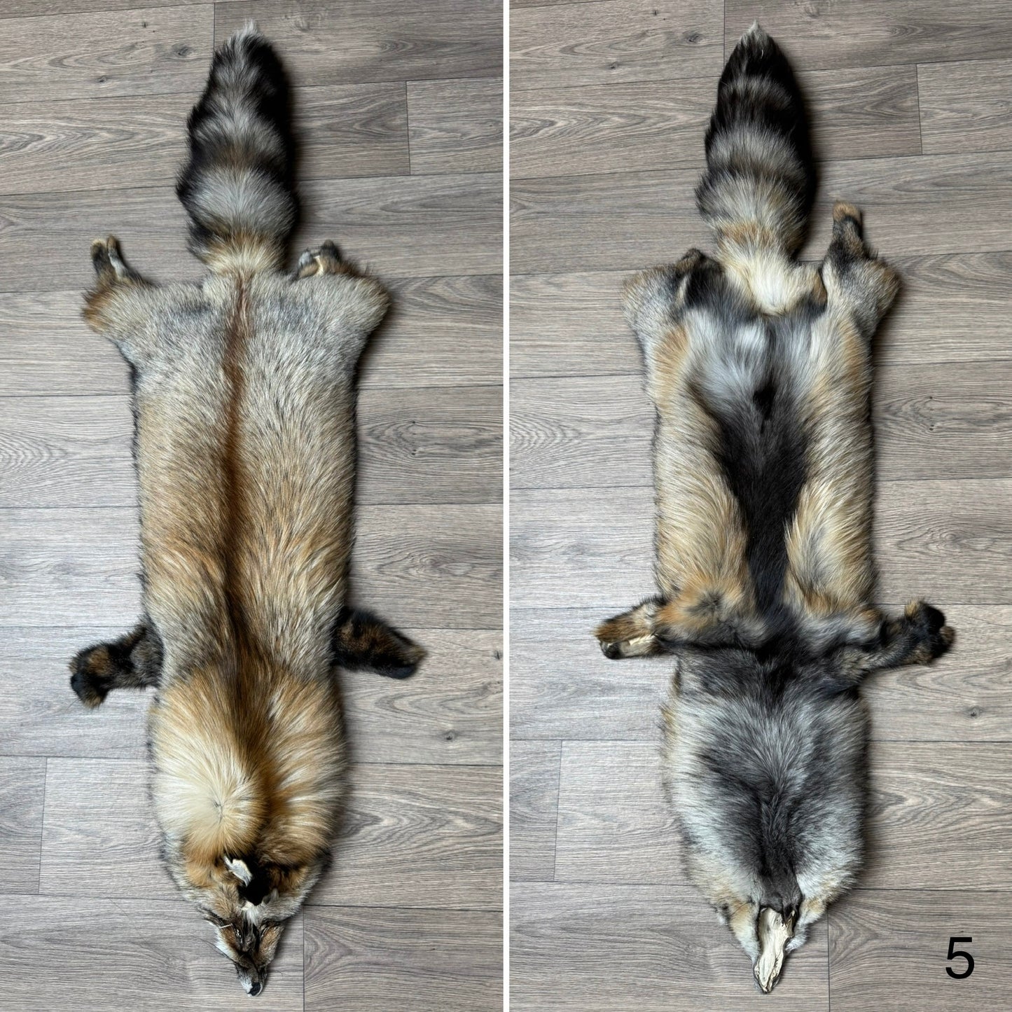 Smokey fox pelt (5)