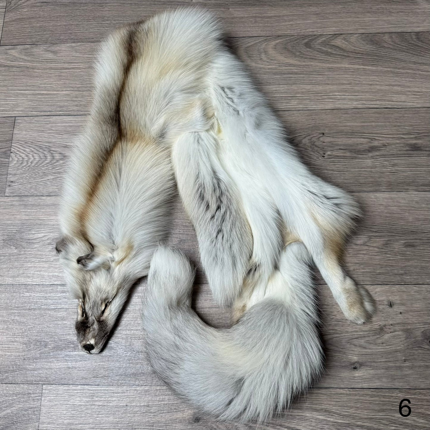 Fawn Light fox pelt (6)