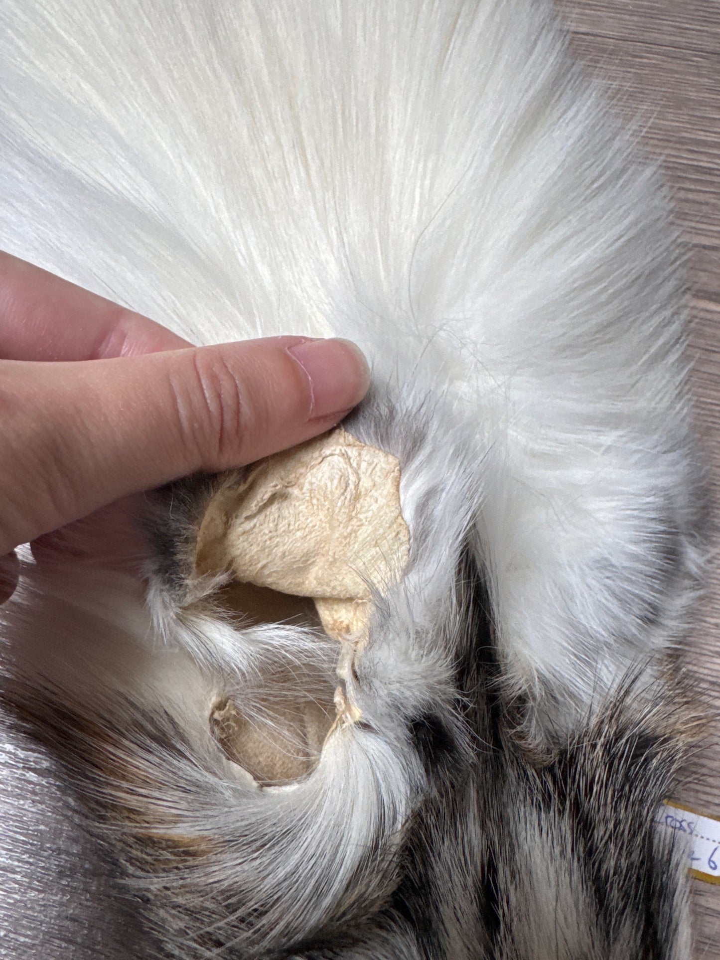 Cross Marble fox pelt (6)