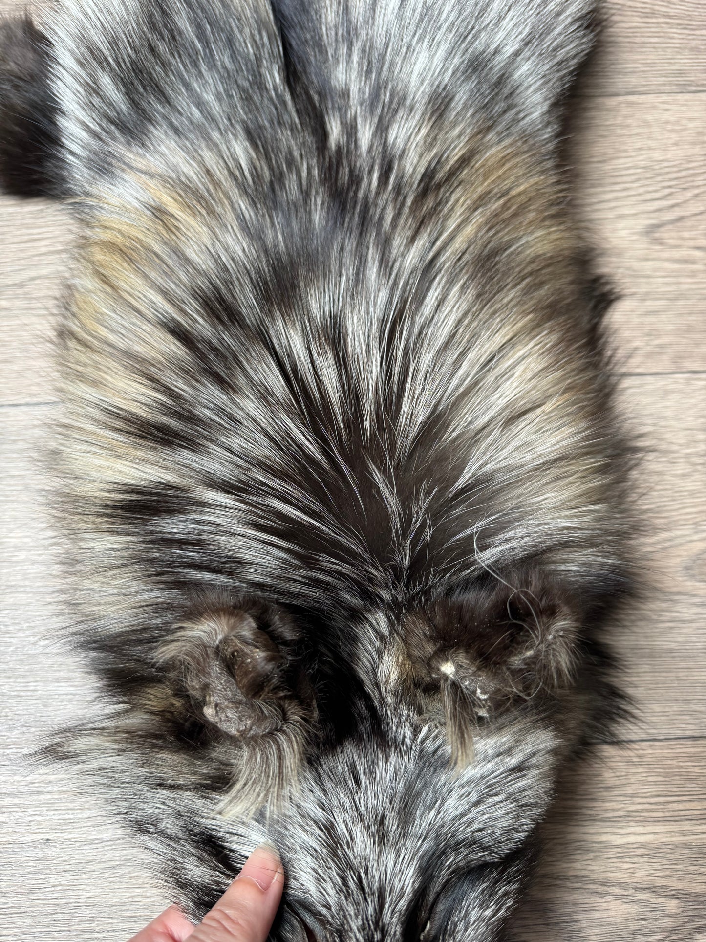 Cross fox pelt (3)