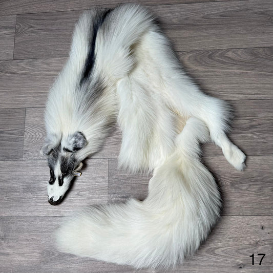 Cross Marble fox pelt (17)