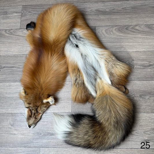 Gold fox pelt (25)