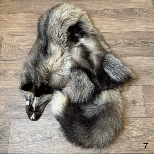 Cross Whitemark fox pelt (7)