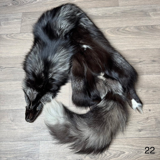 Silver fox pelt (22)