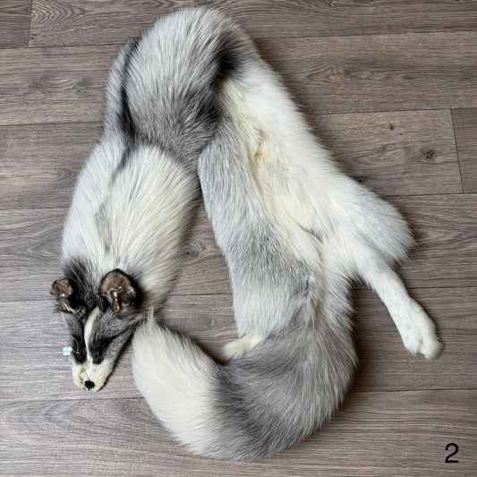 Platinum fox pelt (2)