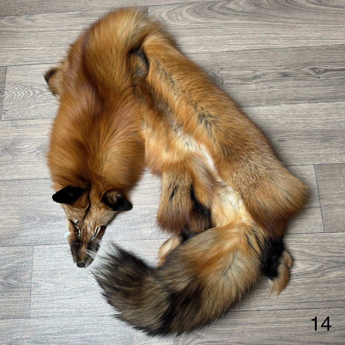 Gold fox pelt (14)