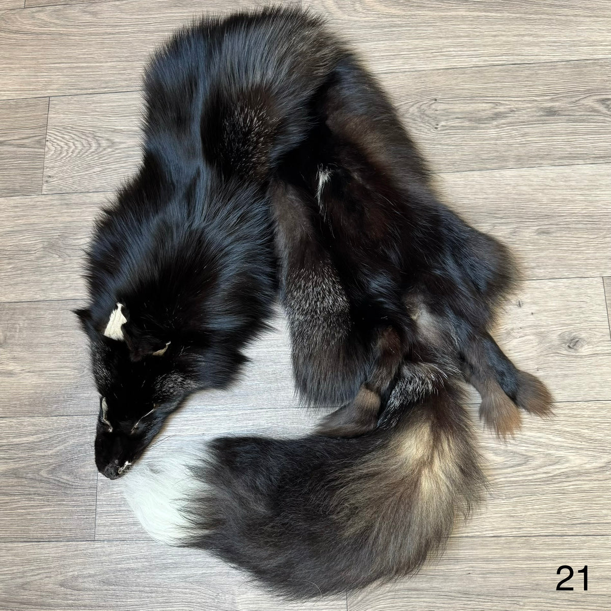 Silver fox pelt (21)