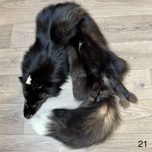 Silver fox pelt (21)