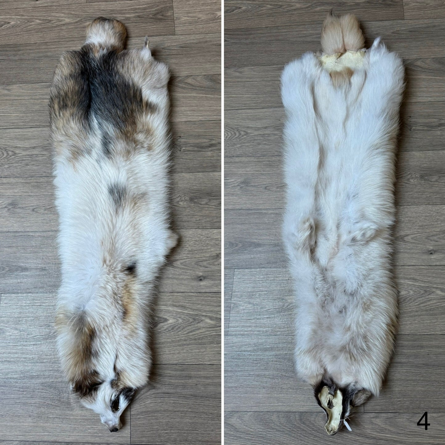 Marble tanuki pelt (4)