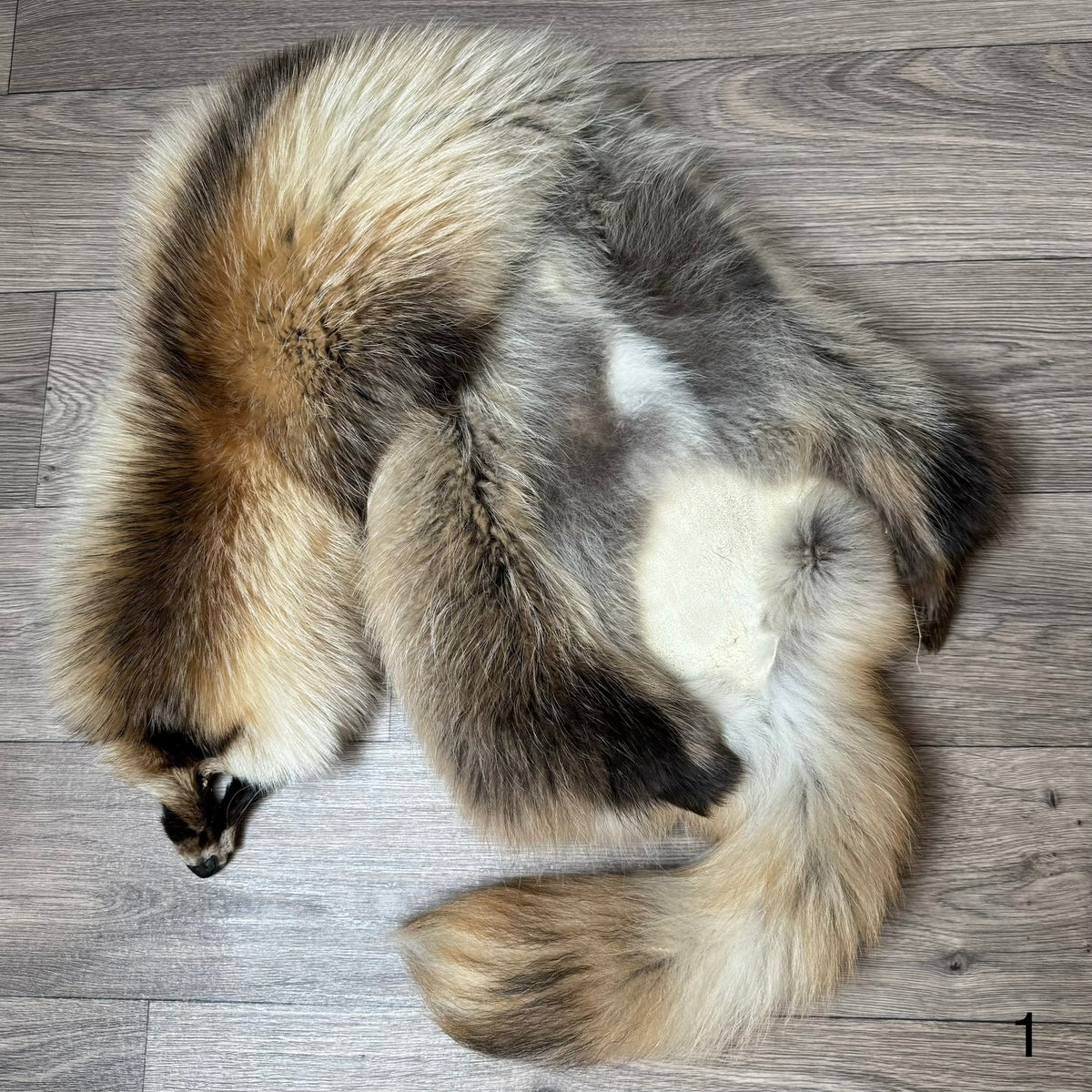 Arctic tanuki pelt (1)
