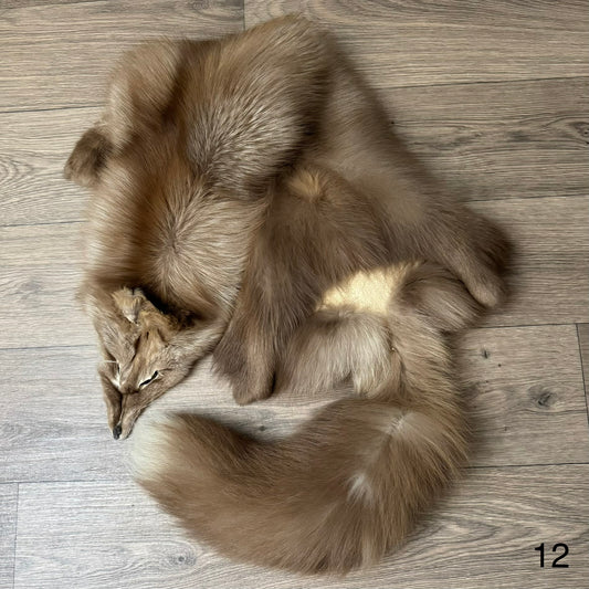 Polish Pastel fox pelt (12)