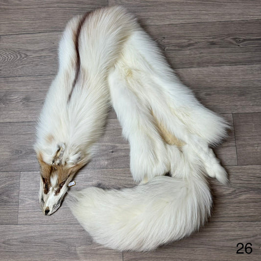 Sun Glow fox pelt (26)
