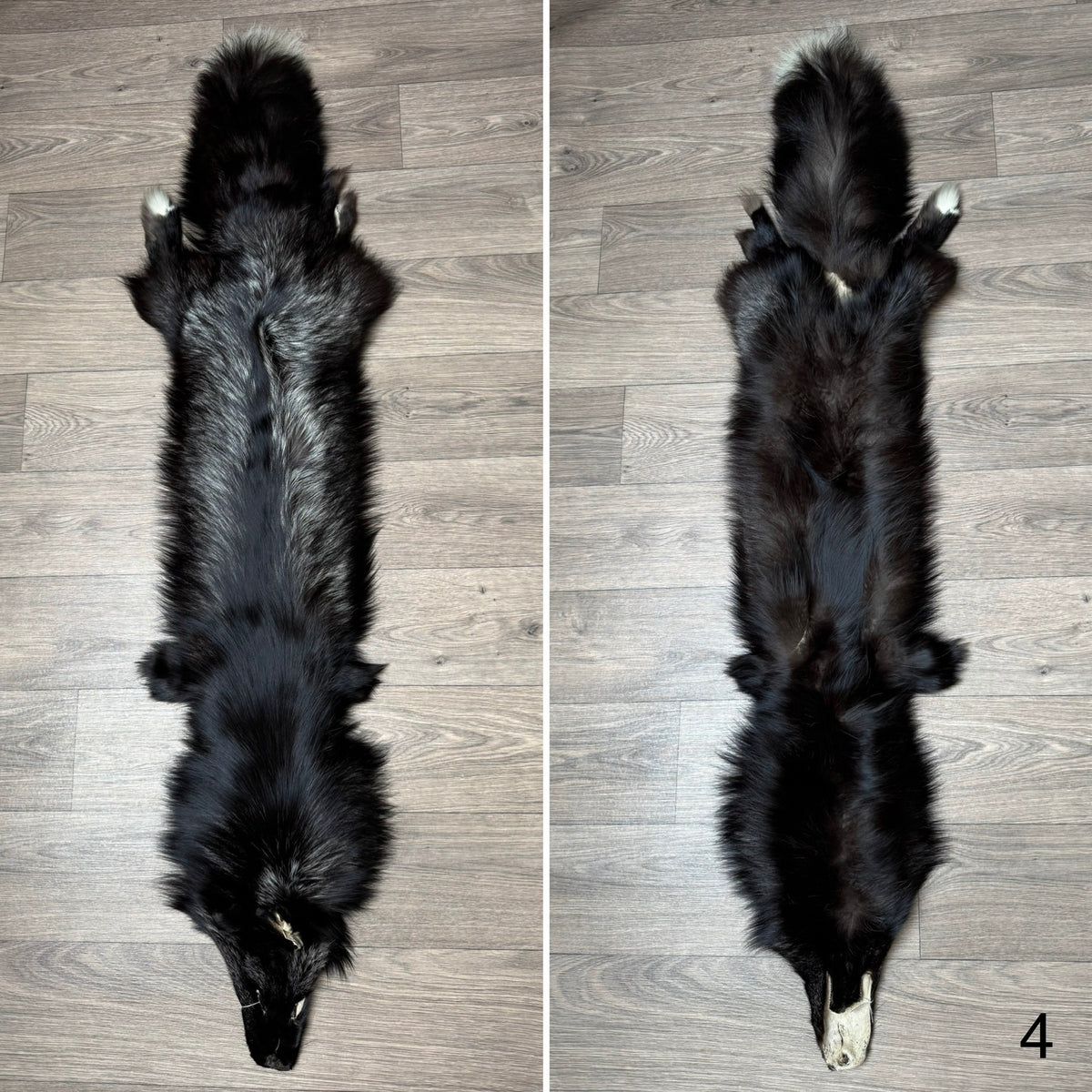 Silver fox pelt (4)