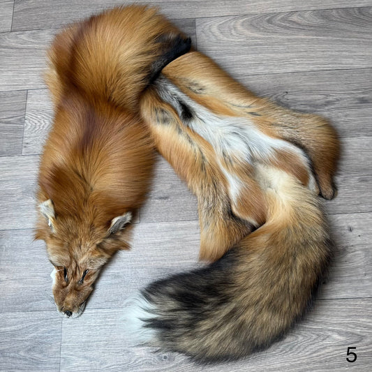 Gold fox pelt (5)