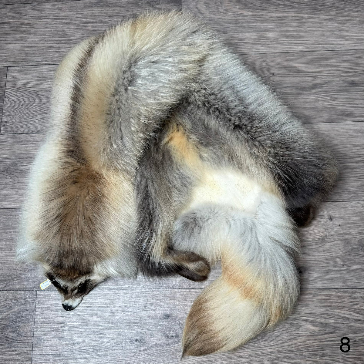 Arctic tanuki pelt (8)