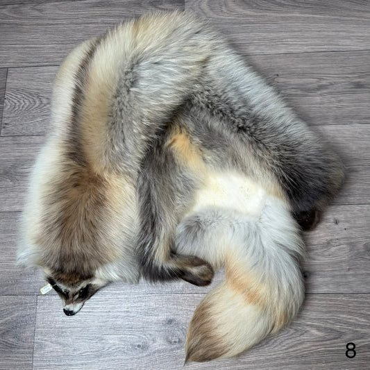 Arctic tanuki pelt (8)