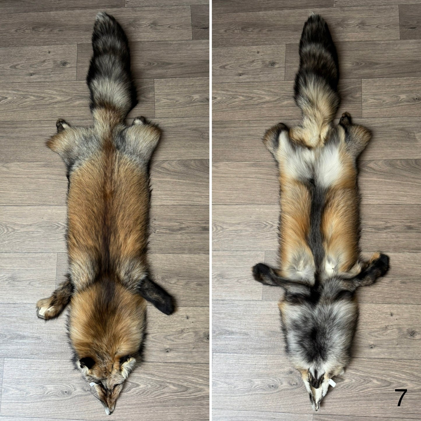 Smokey fox pelt (7)