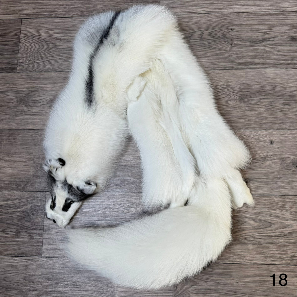 Marble Frost fox pelt (18)