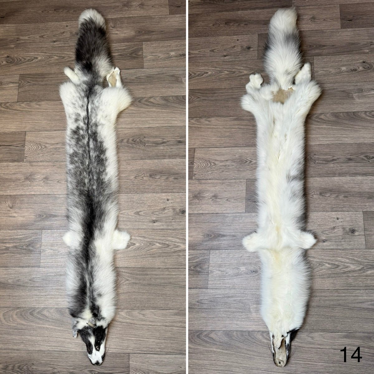 Marble Frost fox pelt (14)