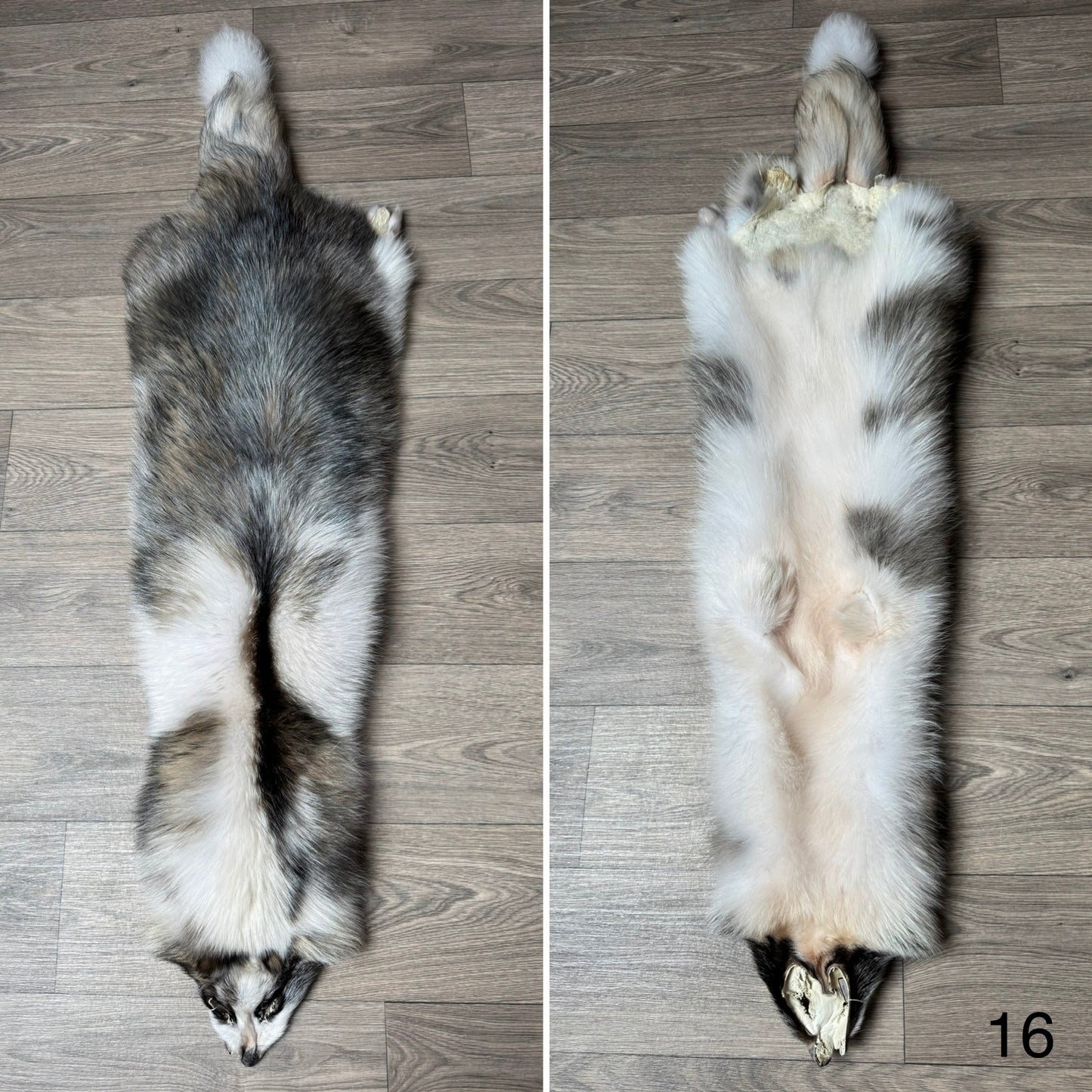 Marble tanuki pelt (16)