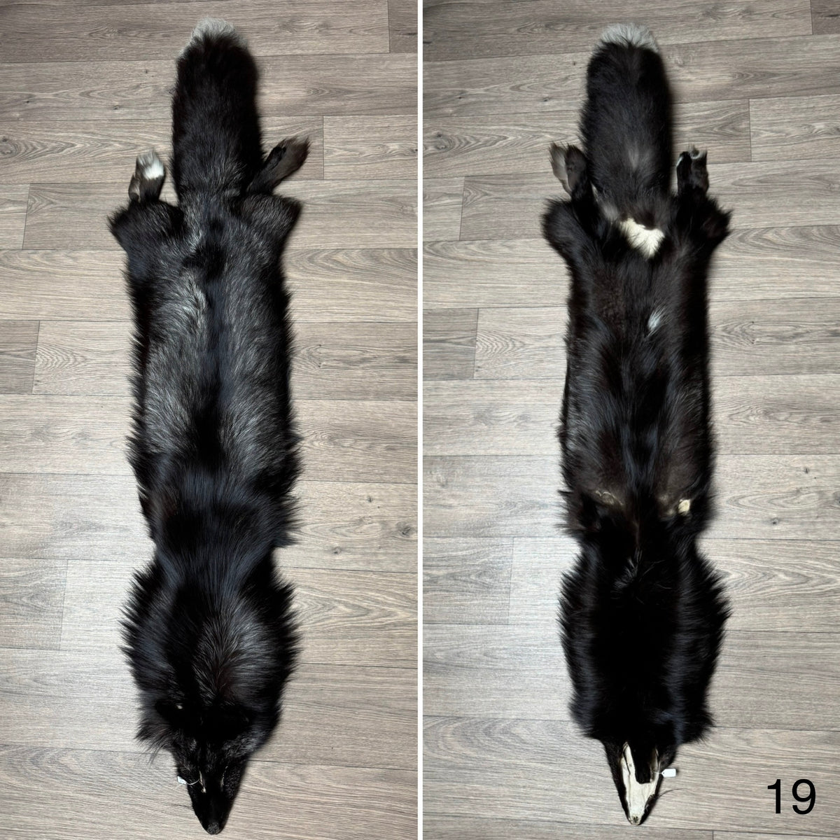 Silver fox pelt (19)