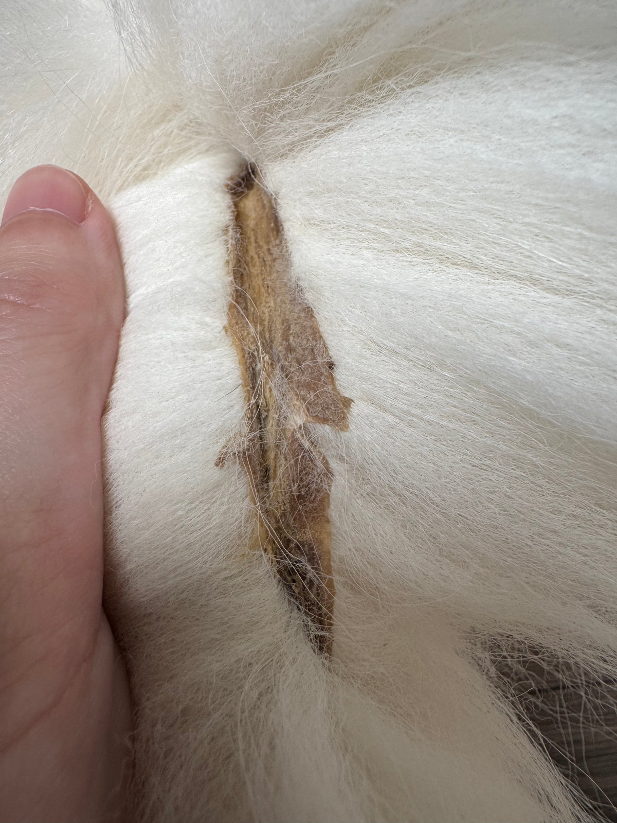 Arctic Marble fox pelt (25)