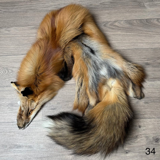 Gold fox pelt (34)
