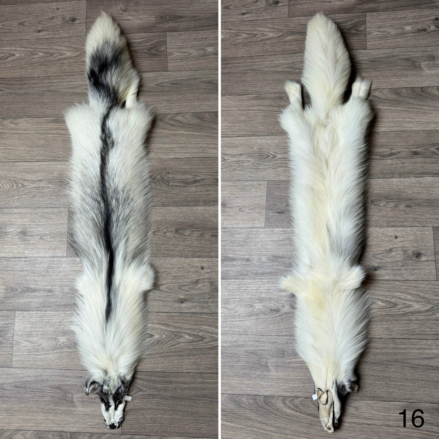 Cross Marble fox pelt (16)
