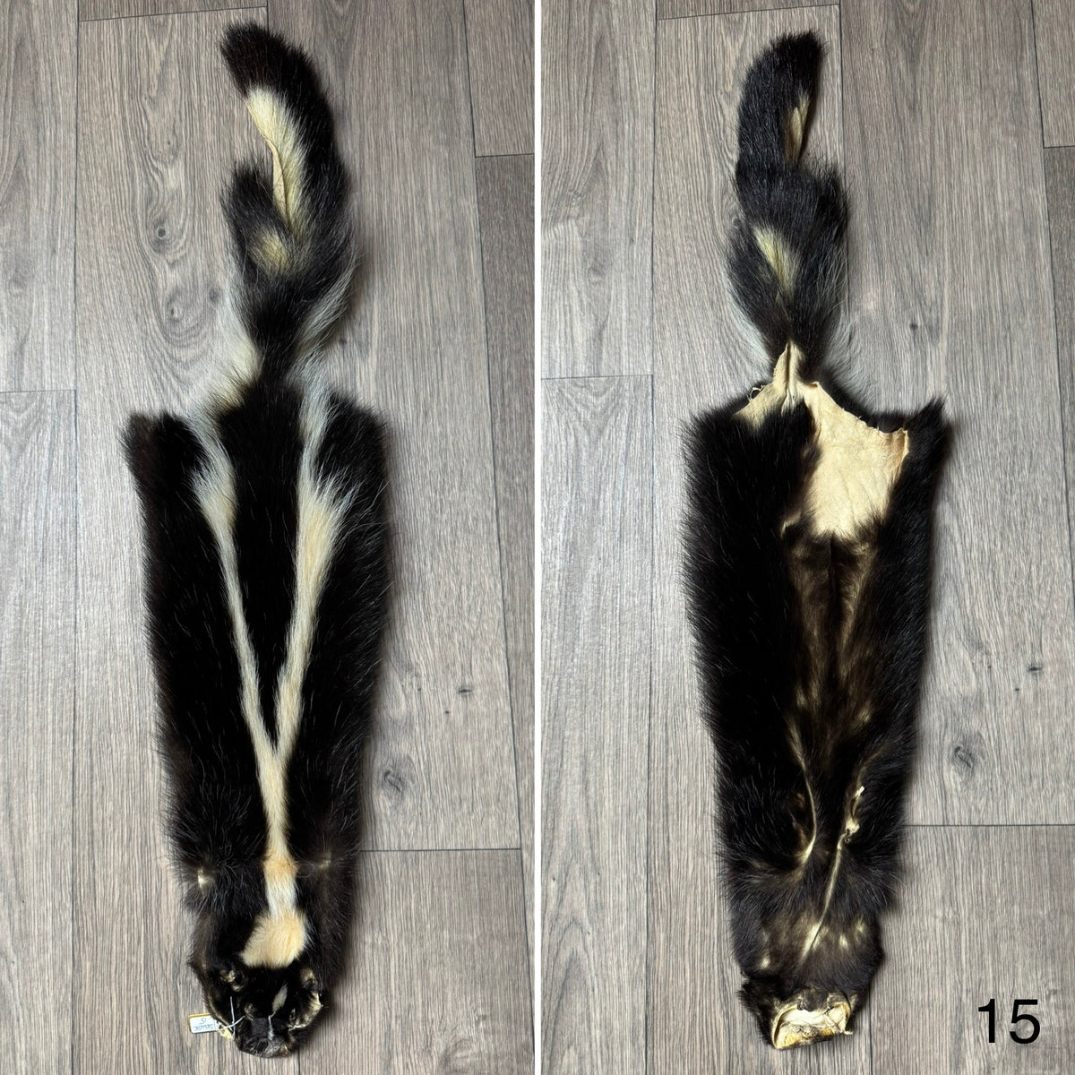 Skunk pelt (15)