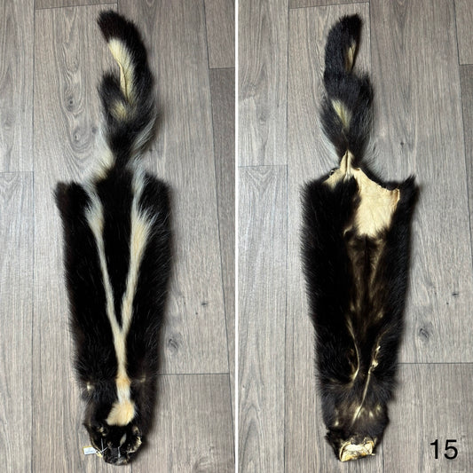 Skunk pelt (15)