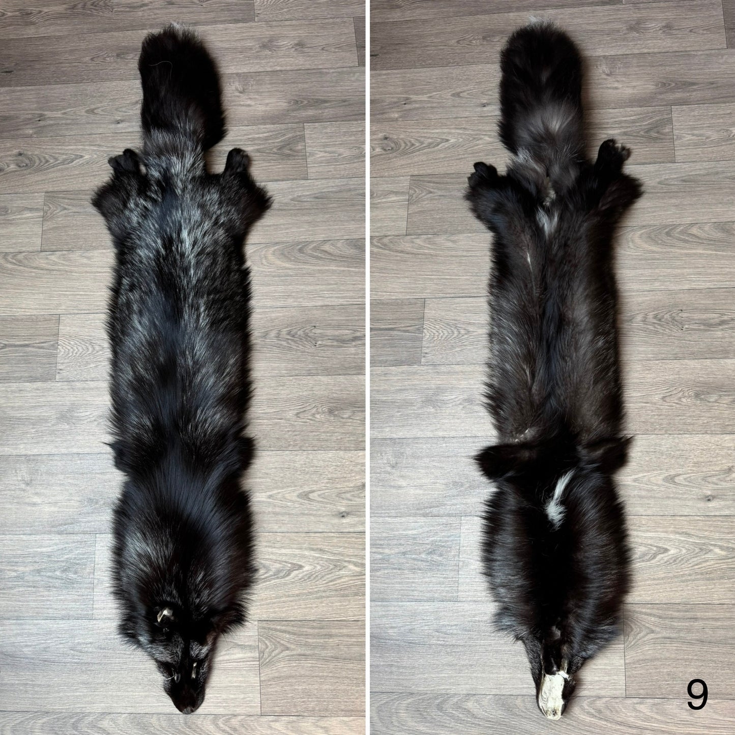 Silver fox pelt (9)