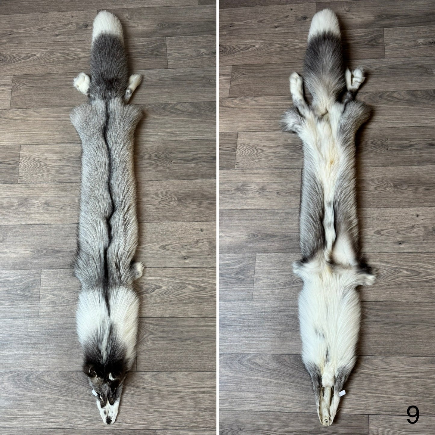 Platinum fox pelt (9)