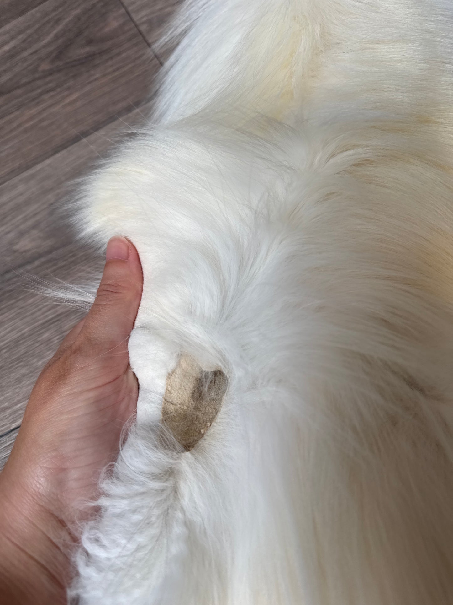 Cross Marble fox pelt (16)