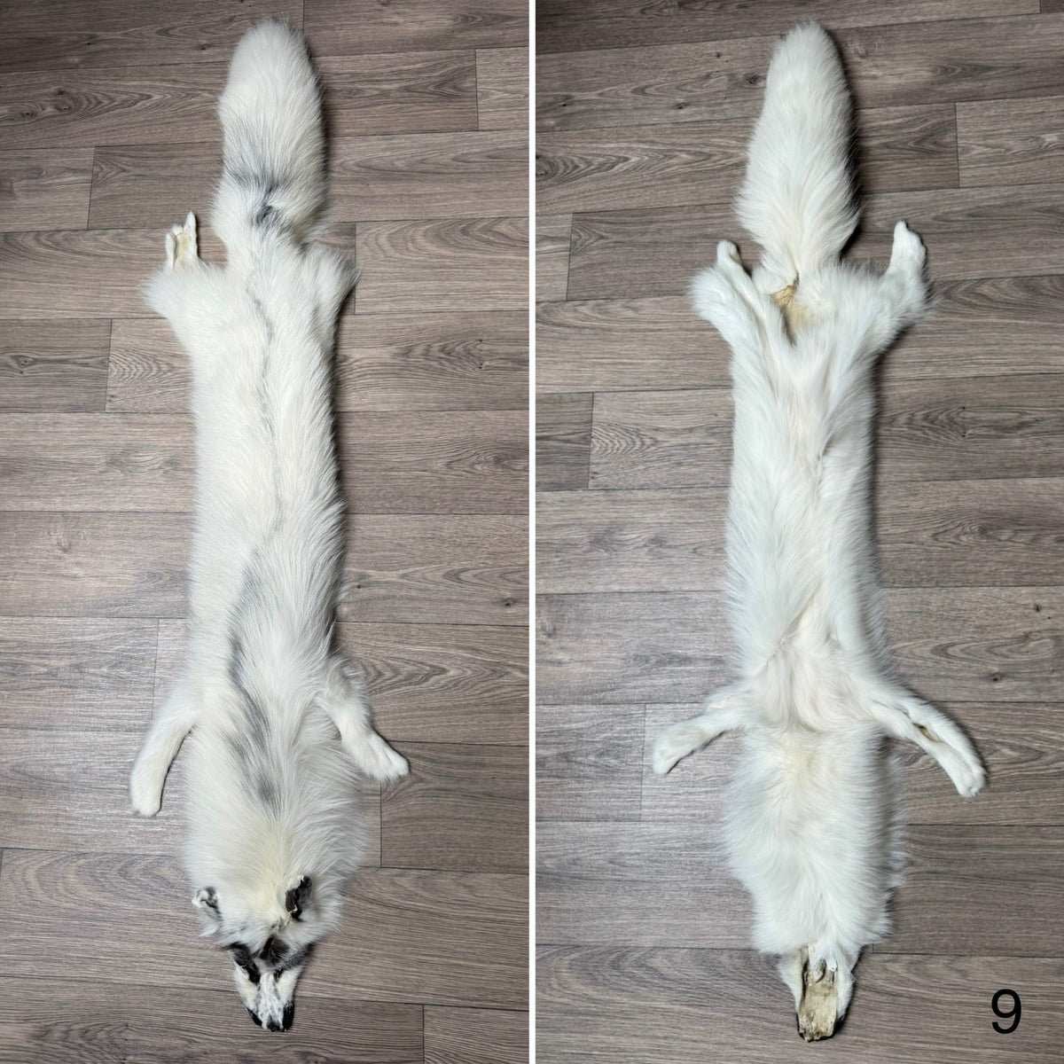 Arctic Marble fox pelt (9)