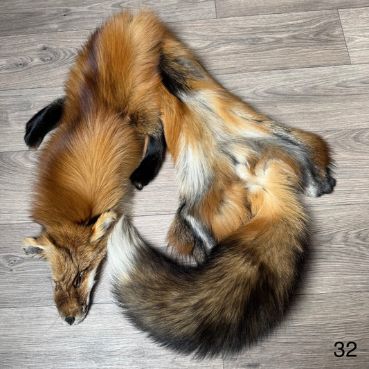 Gold fox pelt (32)