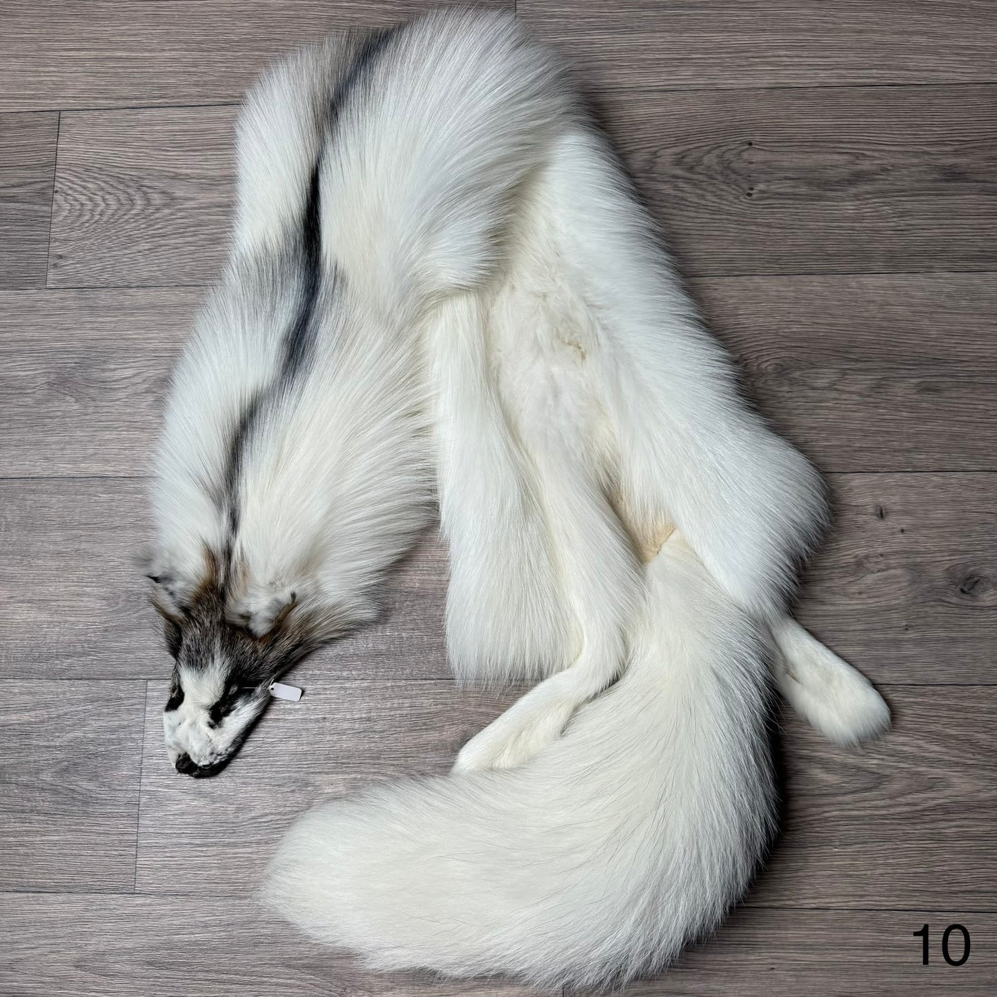 Cross Marble fox pelt (10)