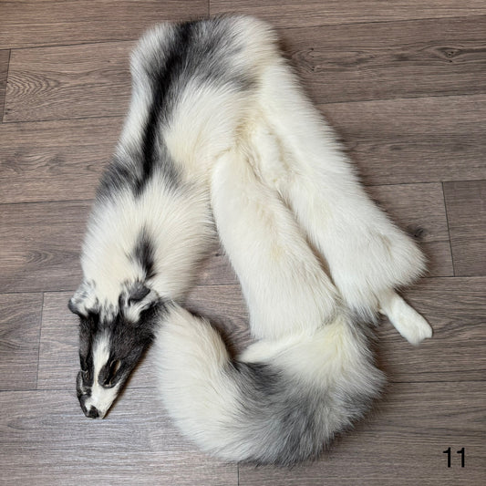 Marble Frost fox pelt (11)