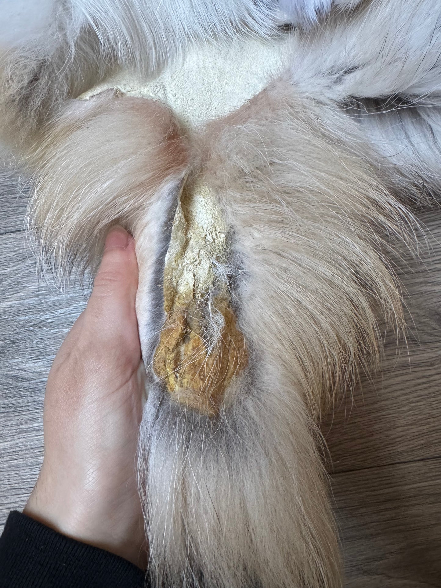 Marble tanuki pelt (4)