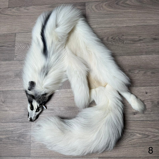 Cross Marble fox pelt (8)