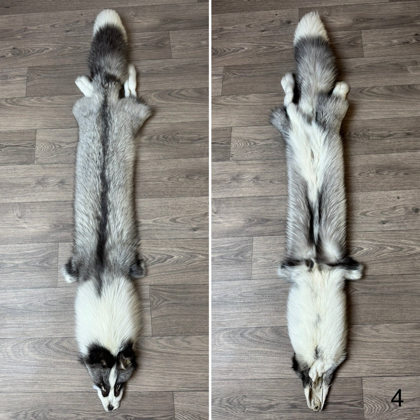 Platinum fox pelt (4)