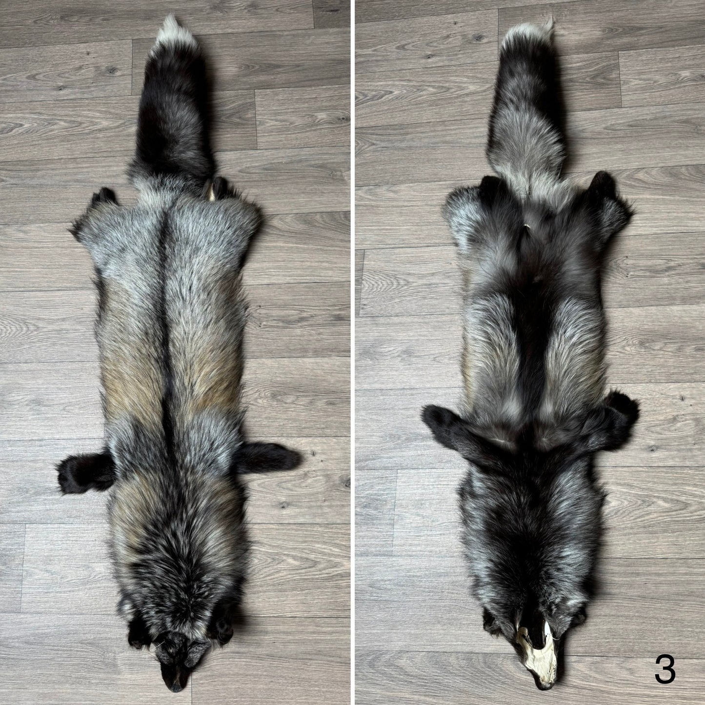 Cross fox pelt (3)