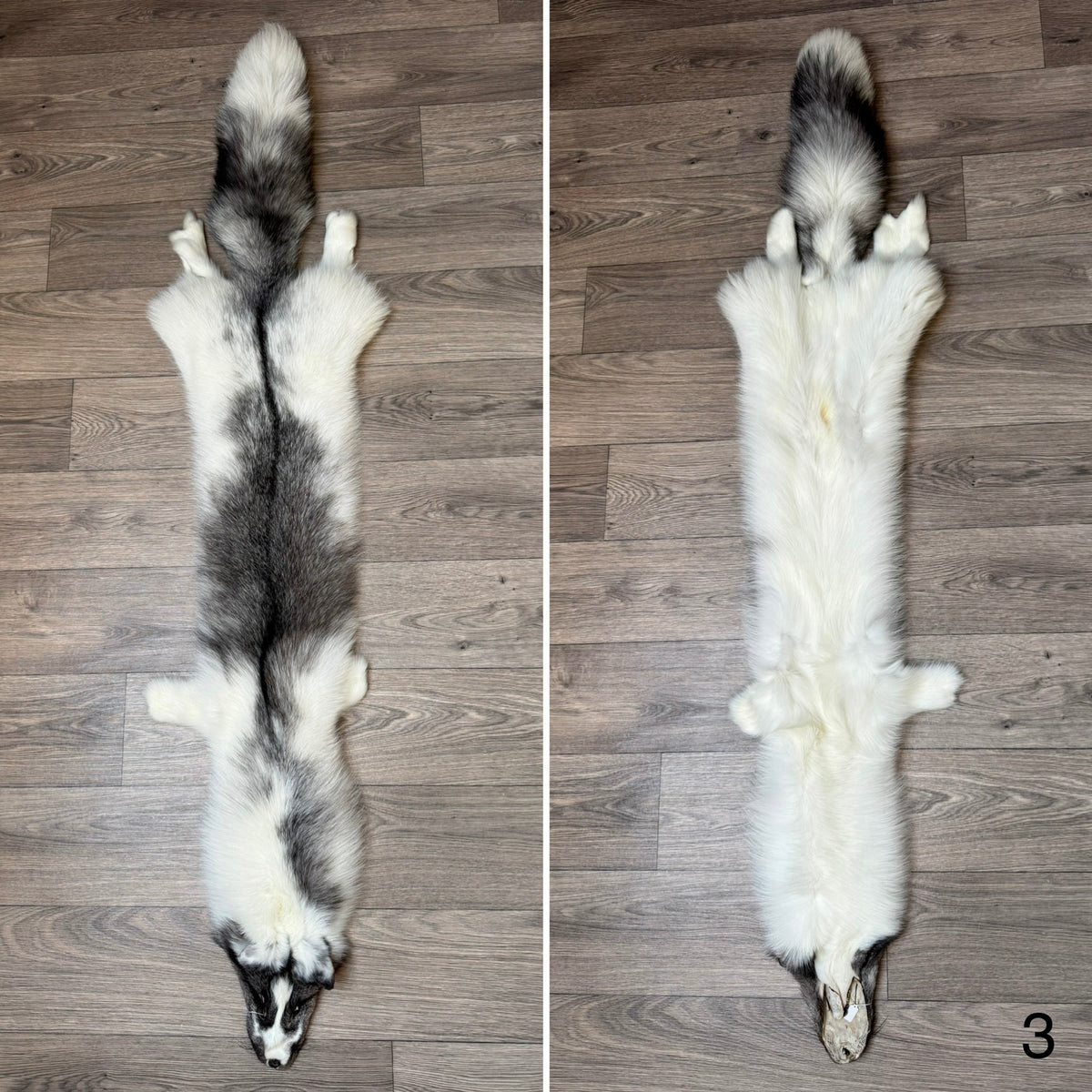 Marble Frost fox pelt (3)
