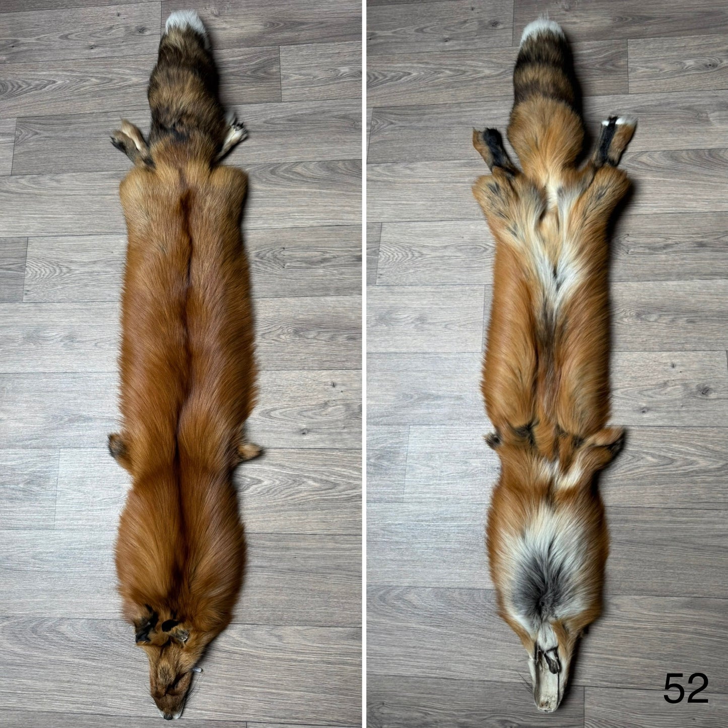 Gold fox pelt (52)